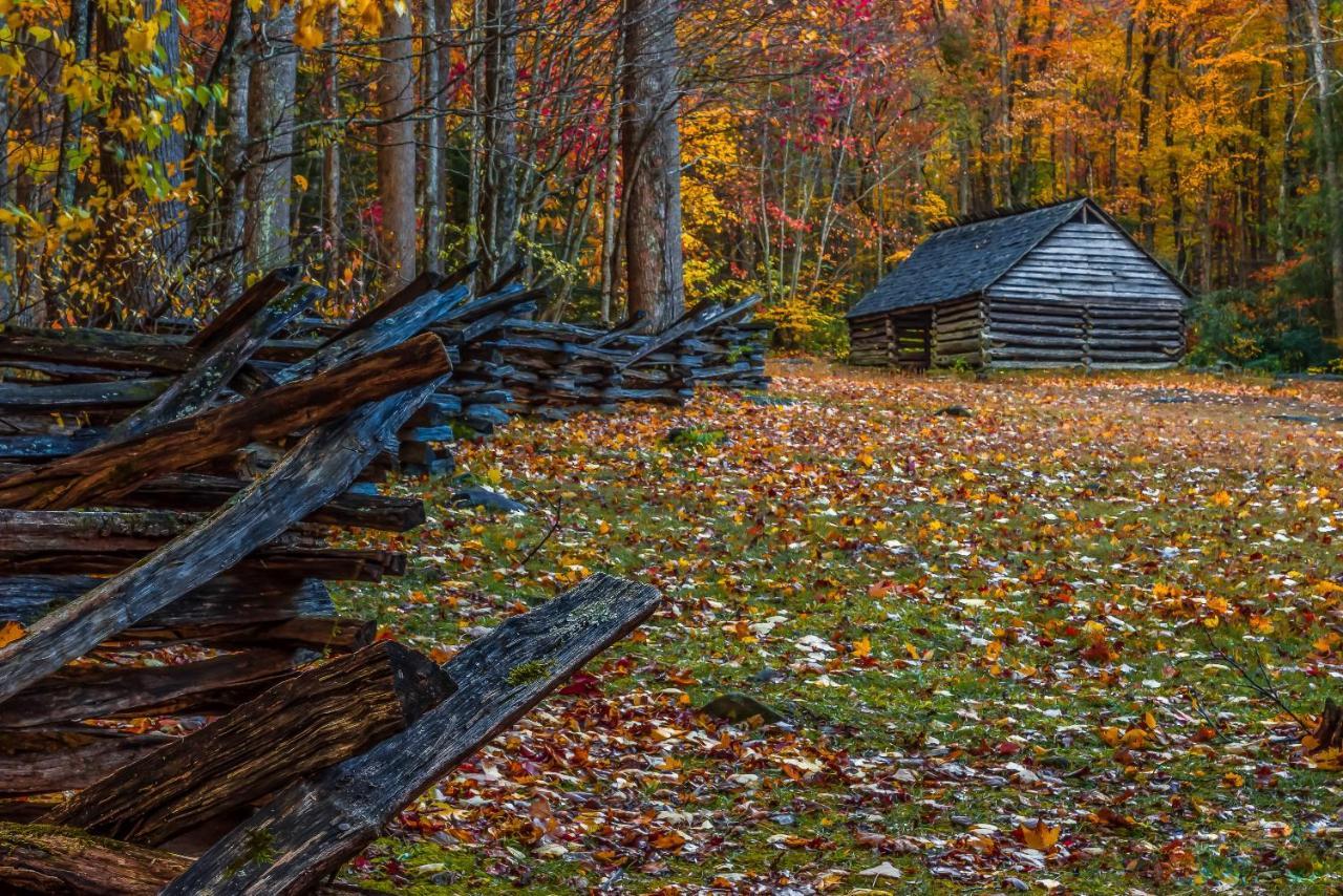 Gnome Alone Villa Sevierville Bagian luar foto